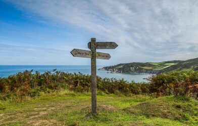 Les référents régionaux : qui fait quoi ?